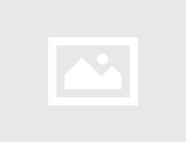 Asesoramiento Técnico